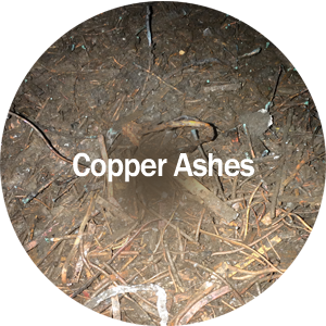 Copper Ashes