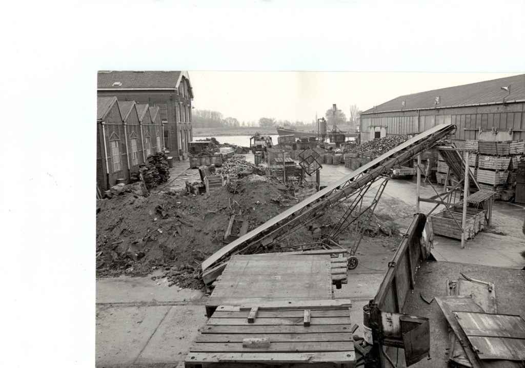 MMI Amsterdam, the early years